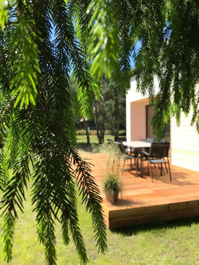 Sosnowe Zacisze Villa Sasino Luaran gambar